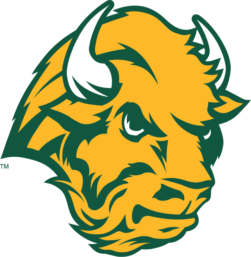 North Dakota State Bison 2006-2012 Secondary Logo t shirts iron on transfers